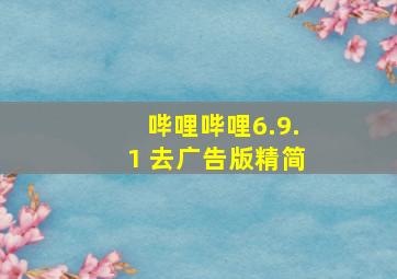 哔哩哔哩6.9.1 去广告版精简